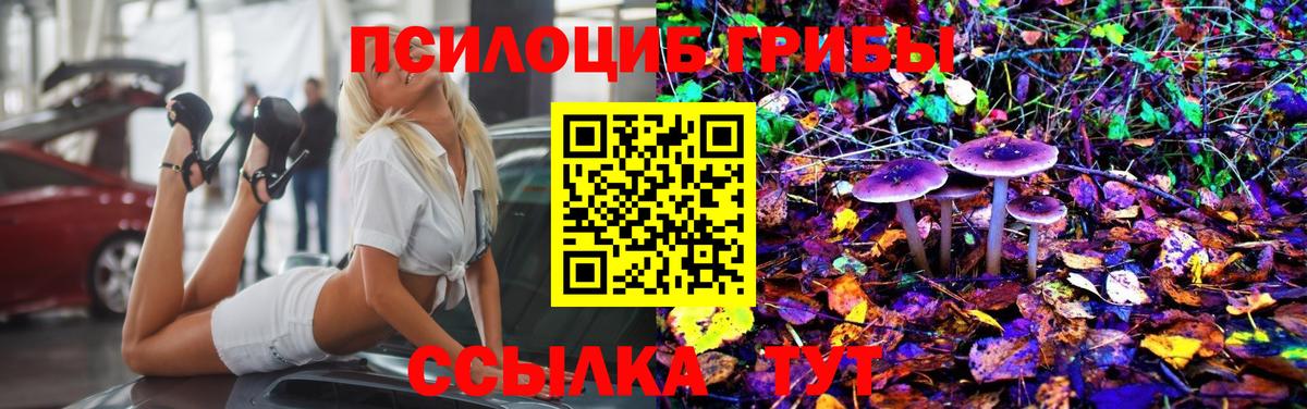 где можно купить наркотик  Галлюциногенные грибы ЛСД  Псилоцибиновые грибы Cubensis  Вход с VPN  Севастополь 